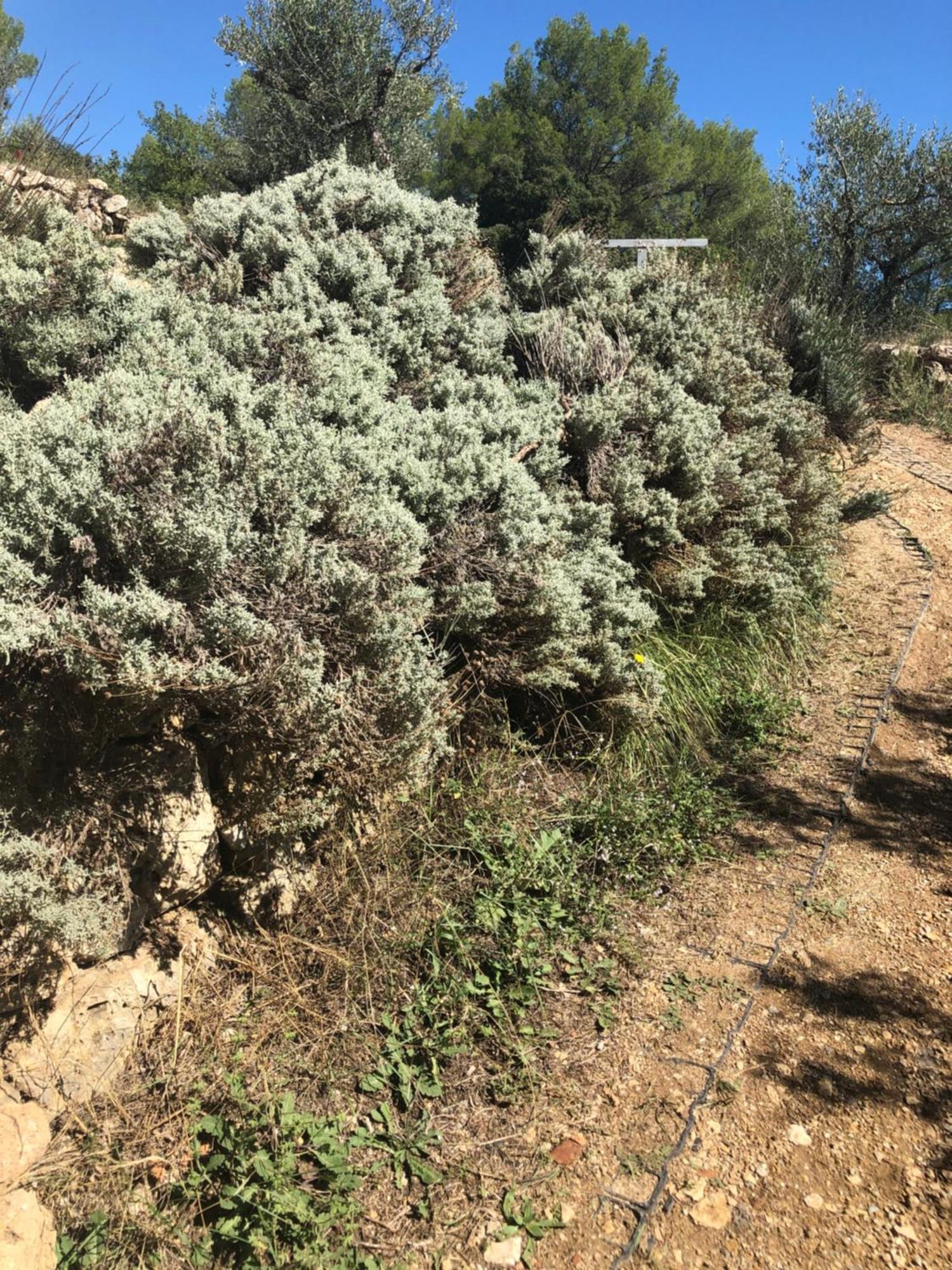 L'Olivier Fleurie Barjols Βίλα Εξωτερικό φωτογραφία