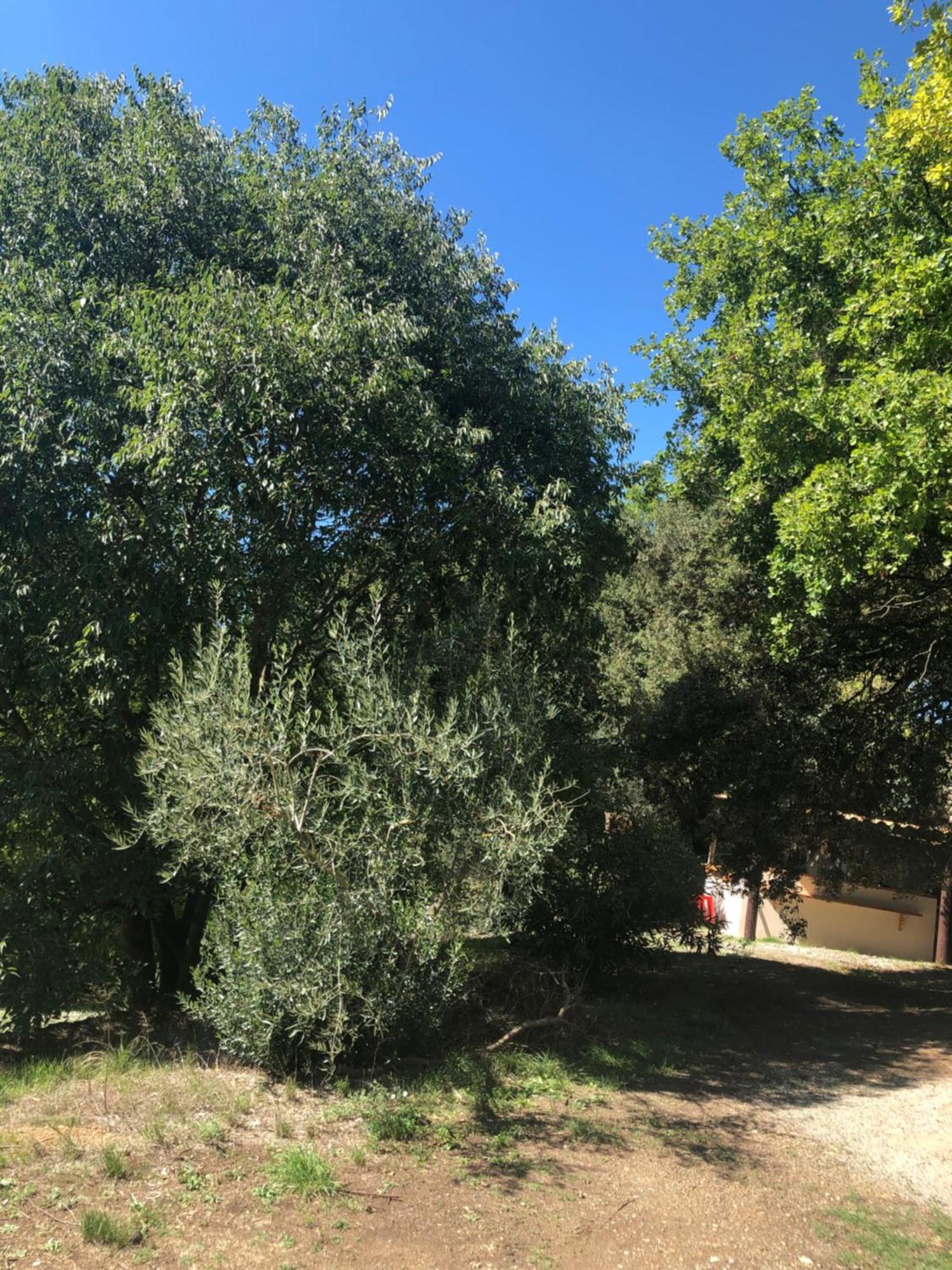 L'Olivier Fleurie Barjols Βίλα Εξωτερικό φωτογραφία