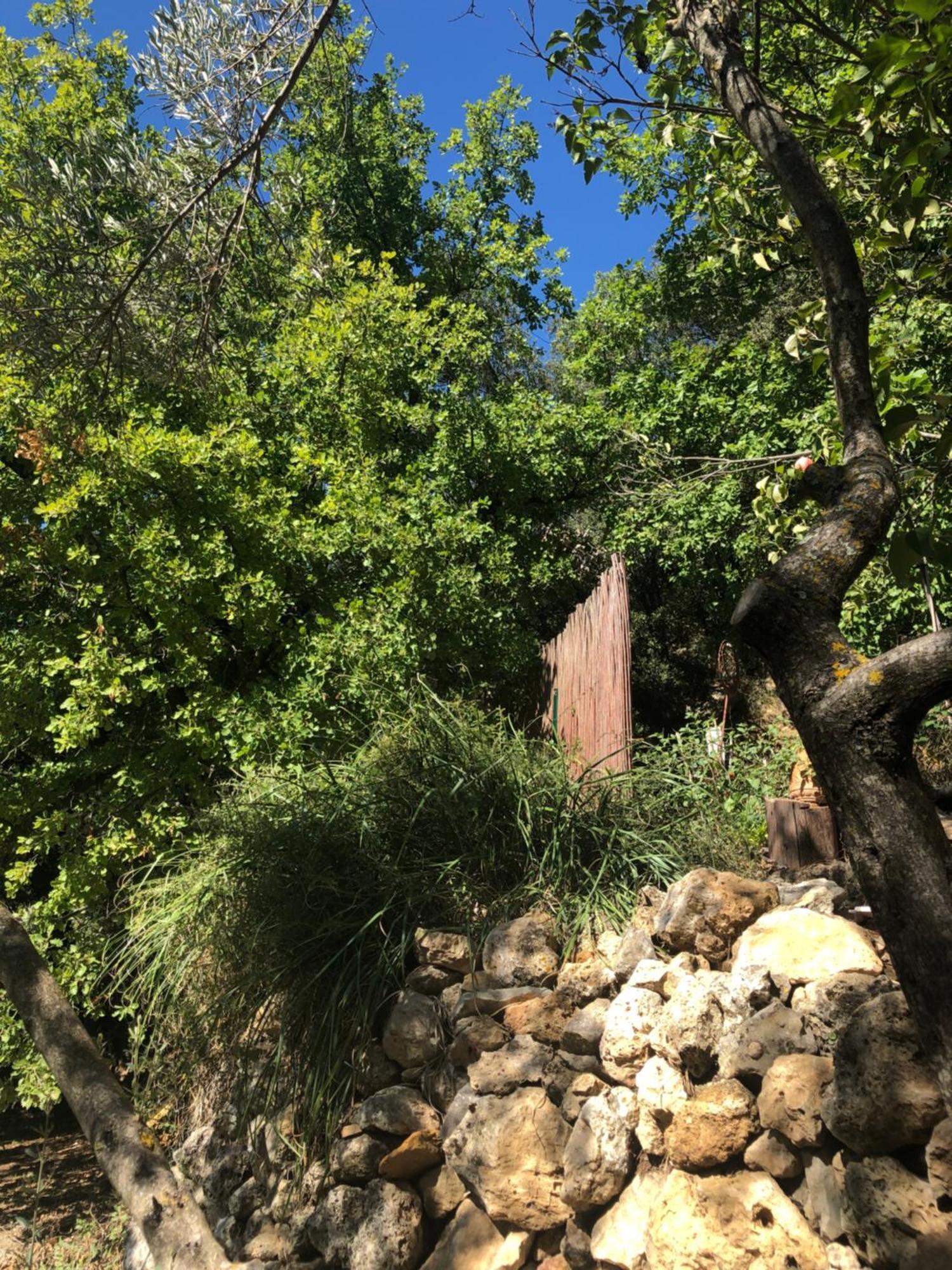 L'Olivier Fleurie Barjols Βίλα Εξωτερικό φωτογραφία