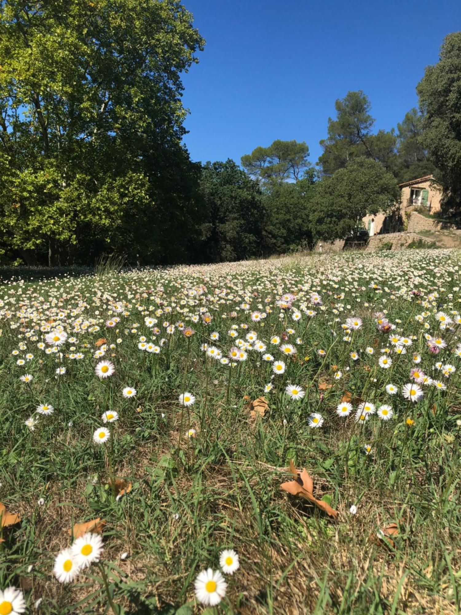 L'Olivier Fleurie Barjols Βίλα Εξωτερικό φωτογραφία