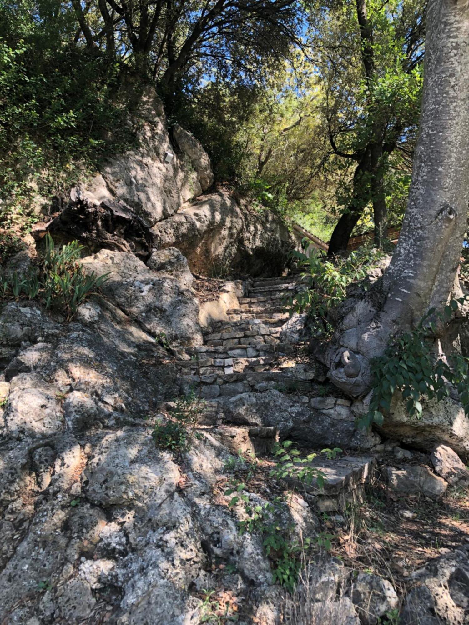 L'Olivier Fleurie Barjols Βίλα Εξωτερικό φωτογραφία